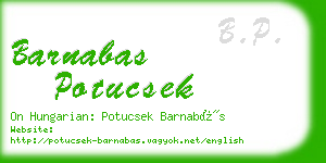 barnabas potucsek business card